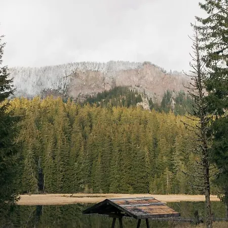 Black Box Апартамент *